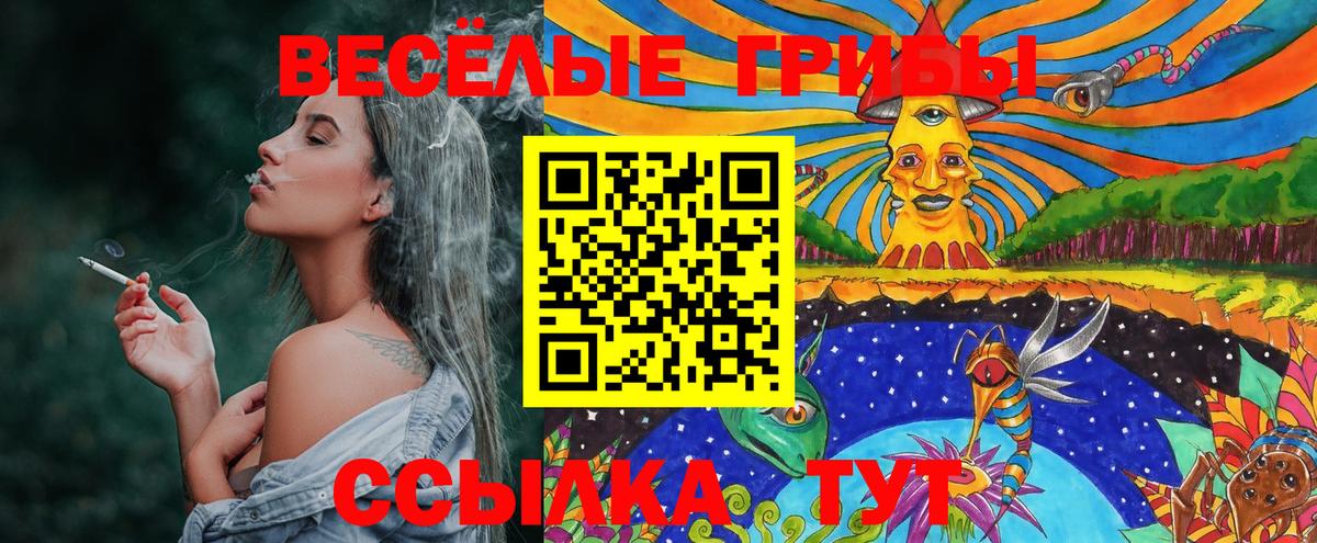 Александров  Галлюциногенные грибы ЛСД  Вход с VPN 