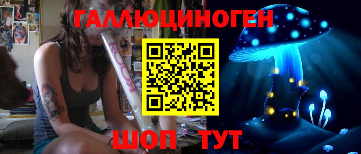 Галлюциногенные грибы Psilocybine cubensis Александров